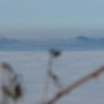 05Ulrichskapelle2014