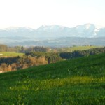 06Alberberg2014