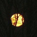 01Vollmond2014