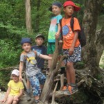 10Eistobel2014