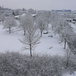 01 So schön kann der Winter sein. Sonntagmorgen, 22. Februar