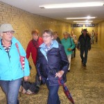 01Senulm2014