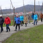 02 Ab laimnau geht es gleich durch die Hopfengärten P1170643