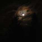 09 Nanu er zeigt sich nocheinmal bevor wir nach Hause gehen P1170556