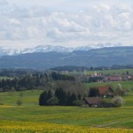 06 Es geht zum so genannten "Allgäu Blick" hoch