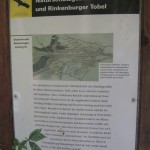 01_Die Familiengruppe des SAV erkundet den Schmalegger Tobel 01_Die Familiengruppe des SAV erkundet den Schmalegger Tobel