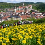 03 Dieser Blick auf das Sigmaringer Schloß entschädigt für den vergangenen Ärger P1170904