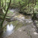 06_Entlang des tief eingegrabenen Tobelbachs 06_Entlang des tief eingegrabenen Tobelbachs