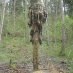 10_Ein sprudelnder Wasserbaum - entstanden durch die stetige Sinterung des sehr mineralhaltigem Quellwasser 10_Ein sprudelnder Wasserbaum - entstanden durch die stetige Sinterung des sehr mineralhaltigem Quellwasser