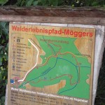 01 - Der Walderlebnispfad bei Möggers lädt uns zu einer spannenden und erlebnisreichen Wanderung ein DSCN1706_A
