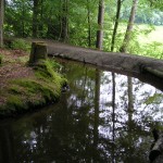 03 Der hufeisenförmige Bogen an der Mieswiesenstraße.JPG