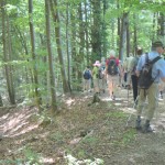 10 Der Weg zum Hödinger Tobel 10 Der Weg zum Hödinger Tobel