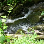 10 Einer der vielen kleinen Wasserfälle vom Tobelbach P1180057