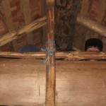 11 - wer versteckt sich den hier IMG_4292_A