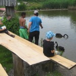 12 - zum Schluss werden die Schwäne und Fische gefüttert IMG_4304_A