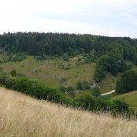 05 Immer im Blickfeld die schönen Wachholderheiden