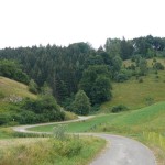 06 Auf solch verschlungenen Wegen läßt es sich gut wandern