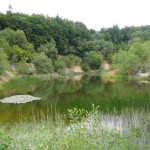 15 Ein schöner See in einem aufgelassenen Steinbruch
